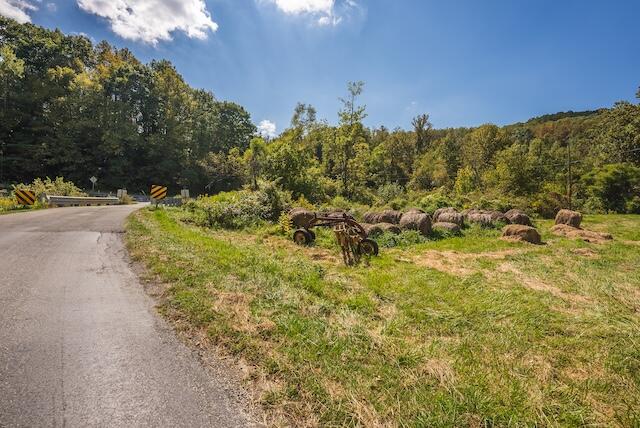 0 Twin Falls Road Northeast Copper Hill, VA 24079 - Photo 20 of 47 a view of a bunch of trees and bushes