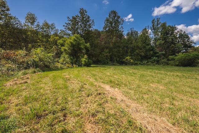 0 Twin Falls Road Northeast Copper Hill, VA 24079 - Photo 21 of 47 a view of a yard with a tree