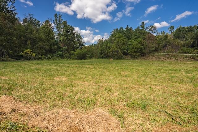 0 Twin Falls Road Northeast Copper Hill, VA 24079 - Photo 22 of 47