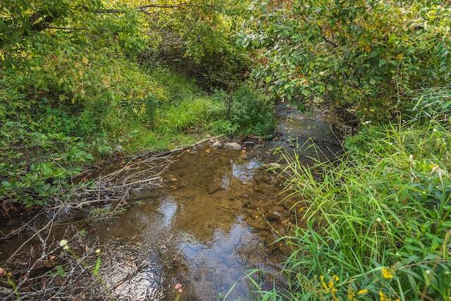 0 Twin Falls Road Northeast Copper Hill, VA 24079 - Photo 24 of 47 a view of a yard with plants and trees