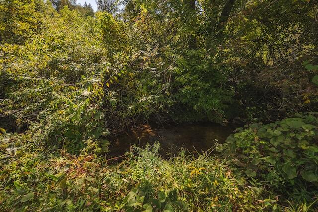 0 Twin Falls Road Northeast Copper Hill, VA 24079 - Photo 26 of 47 a view of a lake with a tree