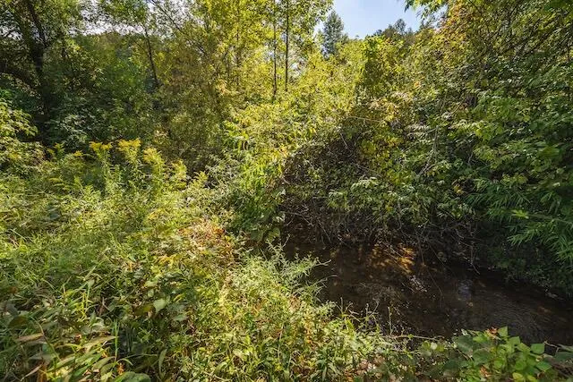 a backyard of a house
