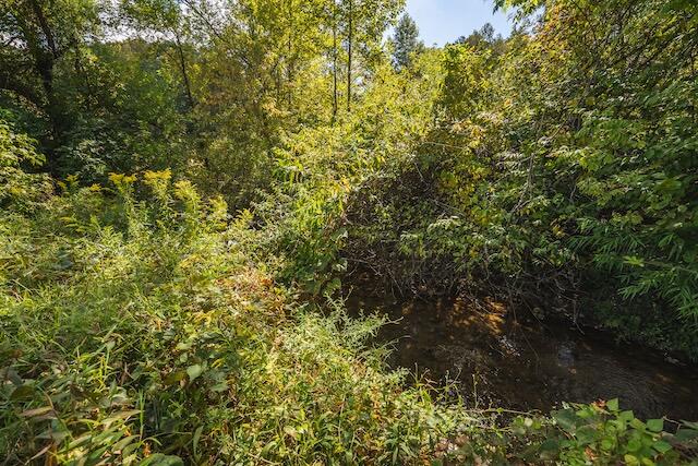 0 Twin Falls Road Northeast Copper Hill, VA 24079 - Photo 27 of 47 a view of a yard