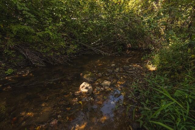 0 Twin Falls Road Northeast Copper Hill, VA 24079 - Photo 28 of 47 a view of a tree in a forest
