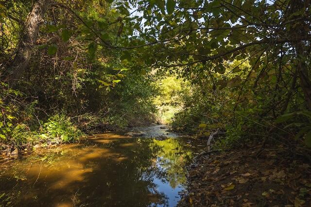 0 Twin Falls Road Northeast Copper Hill, VA 24079 - Photo 31 of 47 a view of a tree in a yard