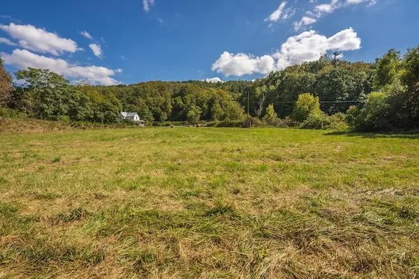 a view of a yard with a tree