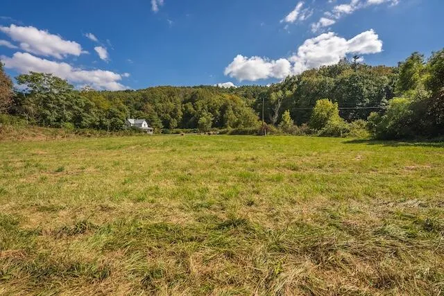 a view of a yard with a tree