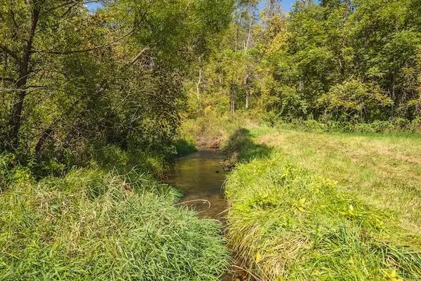 a view of a yard with plants and trees