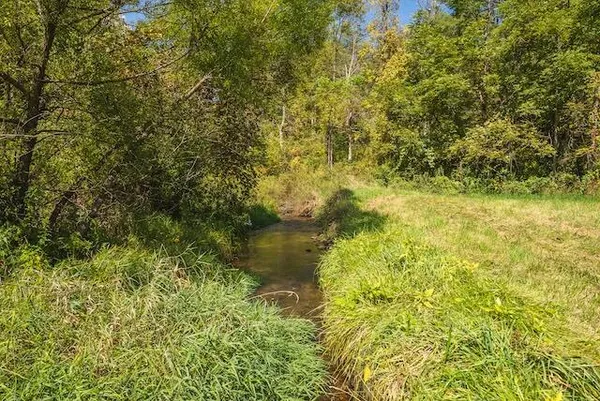 a view of a lake from a yard