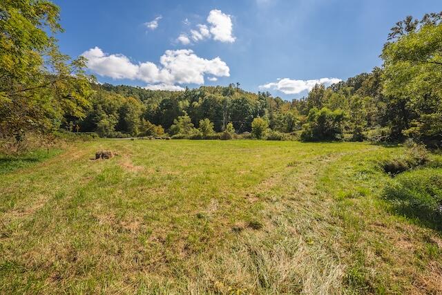 0 Twin Falls Road Northeast Copper Hill, VA 24079 - Photo 36 of 47 a view of a big yard with an outdoor space and seating area