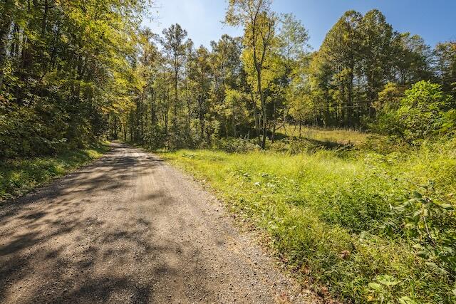 0 Twin Falls Road Northeast Copper Hill, VA 24079 - Photo 38 of 47 a view of yard with trees