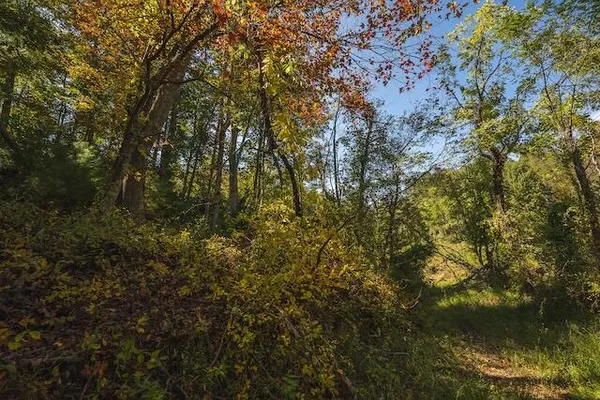 $140,000 | 0 Twin Falls Road Northeast, Copper Hill, VA 24079