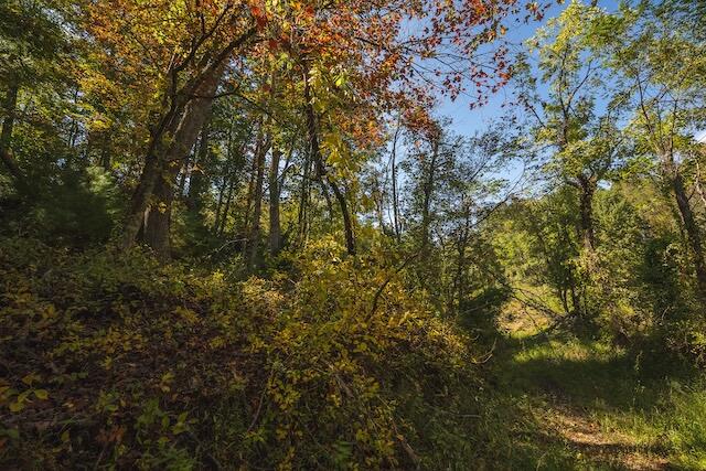 0 Twin Falls Road Northeast Copper Hill, VA 24079 - Photo 40 of 47