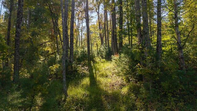 0 Twin Falls Road Northeast Copper Hill, VA 24079 - Photo 4 of 47 a view of yard from a forest