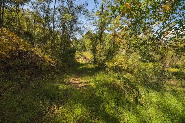 $149,000 | 0 Twin Falls Road Northeast, Copper Hill, VA 24079