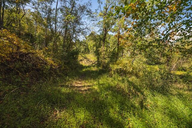 0 Twin Falls Road Northeast Copper Hill, VA 24079 - Photo 41 of 47 a view of a tree