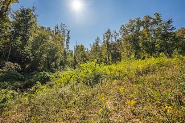 $140,000 | 0 Twin Falls Road Northeast, Copper Hill, VA 24079