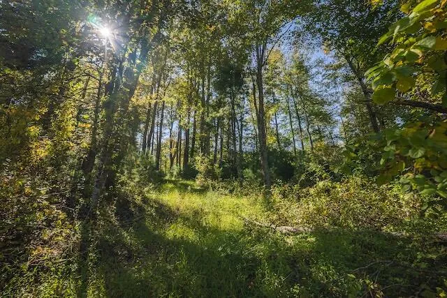 $149,000 | 0 Twin Falls Road Northeast, Copper Hill, VA 24079