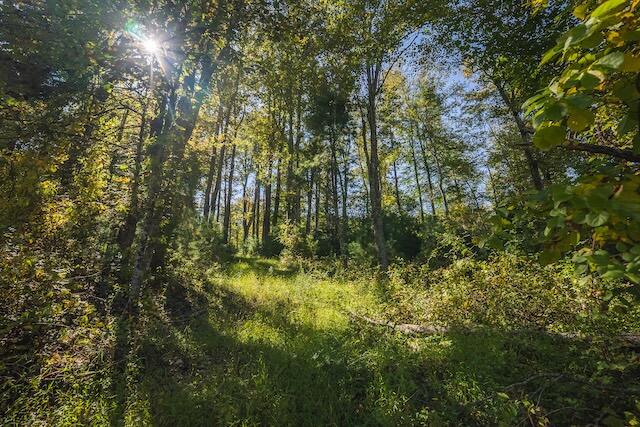 0 Twin Falls Road Northeast Copper Hill, VA 24079 - Photo 45 of 47 a view of yard