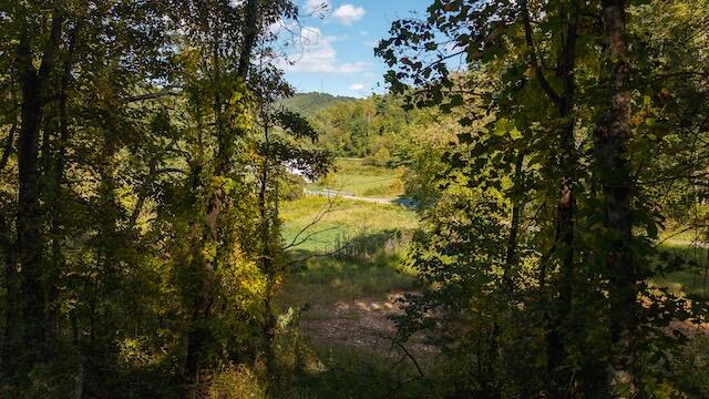 0 Twin Falls Road Northeast Copper Hill, VA 24079 - Photo 5 of 47 a view of a trees