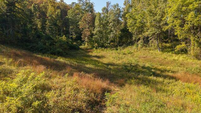 0 Twin Falls Road Northeast Copper Hill, VA 24079 - Photo 6 of 47 a view of lake