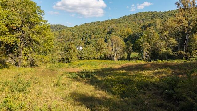 0 Twin Falls Road Northeast Copper Hill, VA 24079 - Photo 7 of 47 a view of a yard