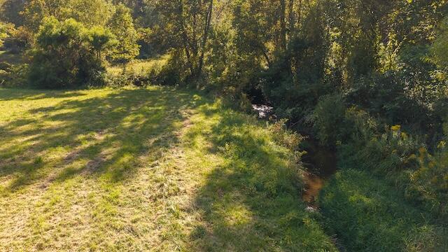 0 Twin Falls Road Northeast Copper Hill, VA 24079 - Photo 9 of 47 a view of yard with green space