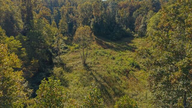 0 Twin Falls Road Northeast Copper Hill, VA 24079 - Photo 10 of 47 a view of a forest