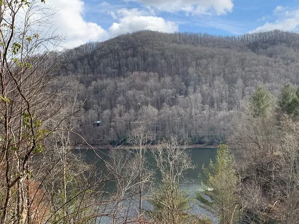 $60,000 | Lot # Forest Vista Lane, Topton, NC 28781