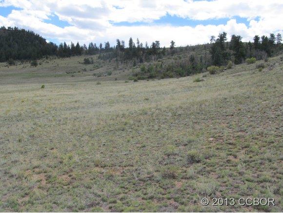 Unk Tonkawa Road Hartsel, CO 80449 - Photo 3 of 5 Gallery Image 3