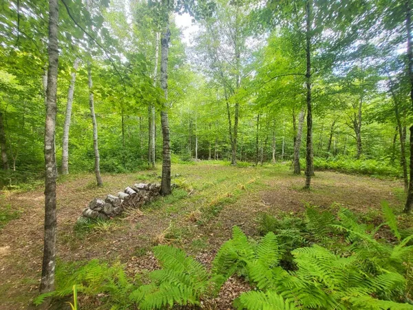 $145,000 | 189 Basin Road, Carthage, ME 04224