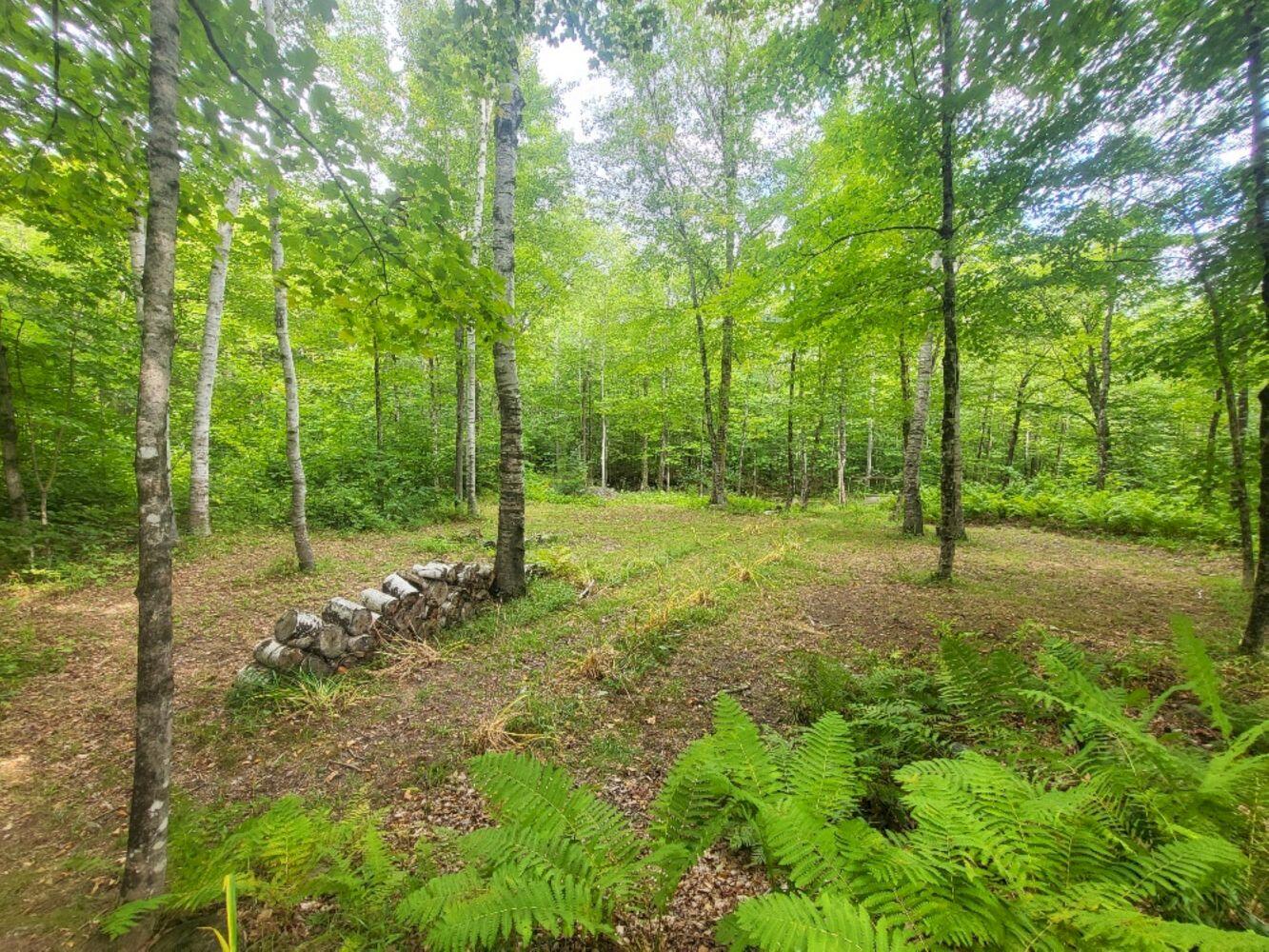 189 Basin Road Carthage, ME 04224 - Photo 25 of 33 20250825_154639_resized_result