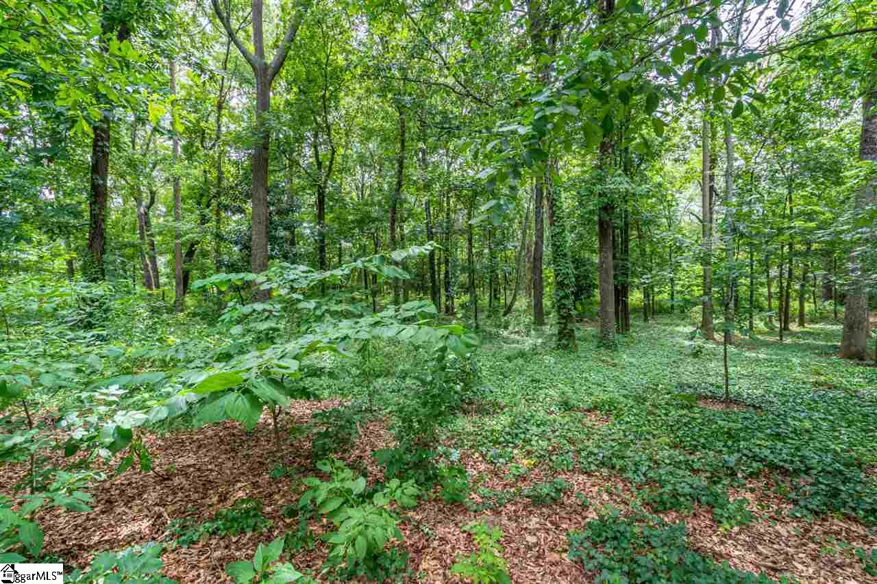 1 Pilgrims Point Road Greenville, SC 29615 - Photo 4 of 20 Gallery Image 4