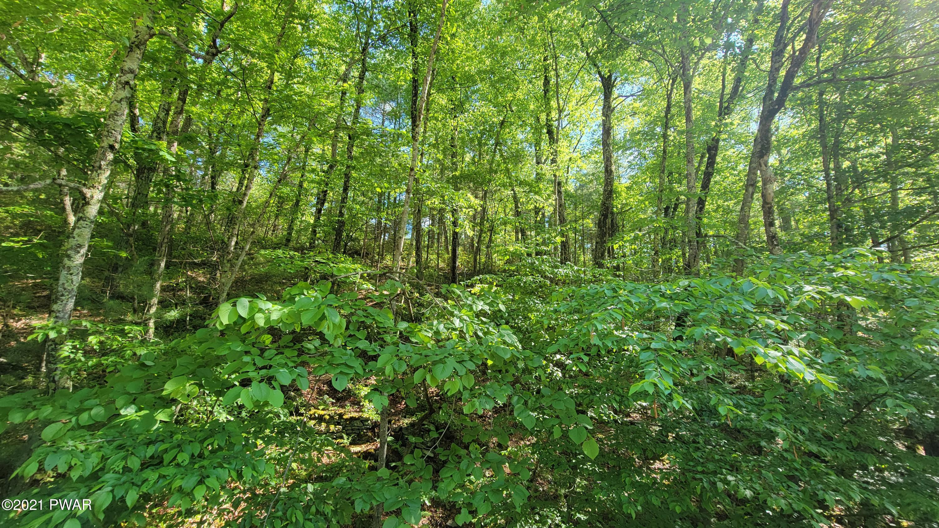 Lot #3 Steges Road Highland Lake, NY 12743 - Photo 1 of 6 20210531_161048