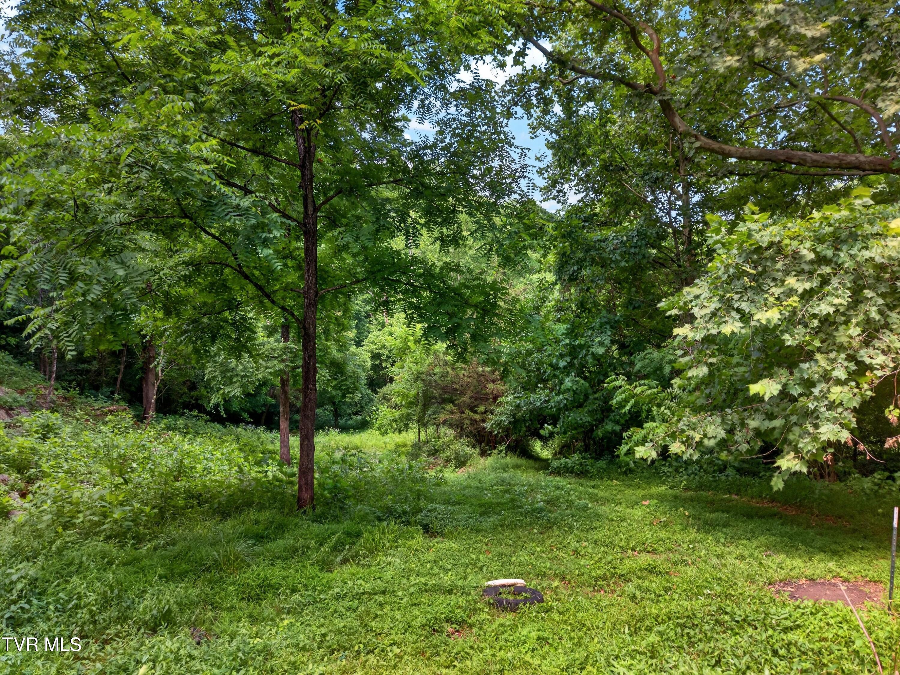 2087 Bullen Valley Road Thorn Hill, TN 37881 - Photo 18 of 29 018-2087BullenValleyRoad-ThornHill-TN-37