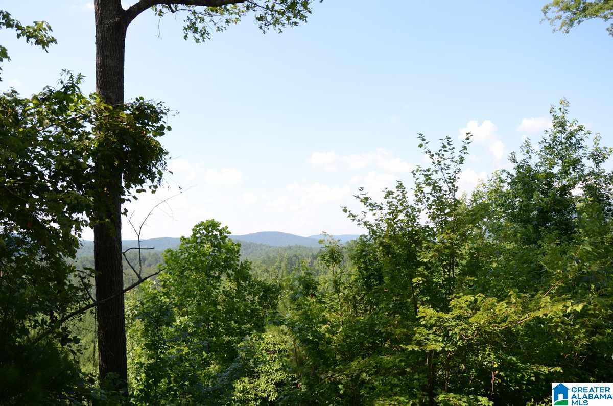 10098 County Road 55, Unit 24 ACRES Fruithurst, AL 36262 - Photo 23 of 27