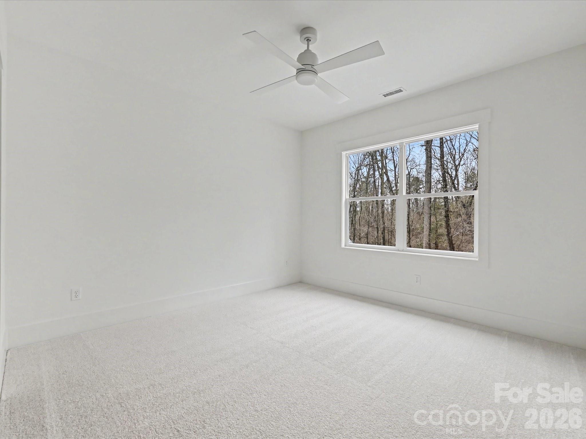 425 Snow Goose Walk Clover, SC 29710 - Photo 38 of 46