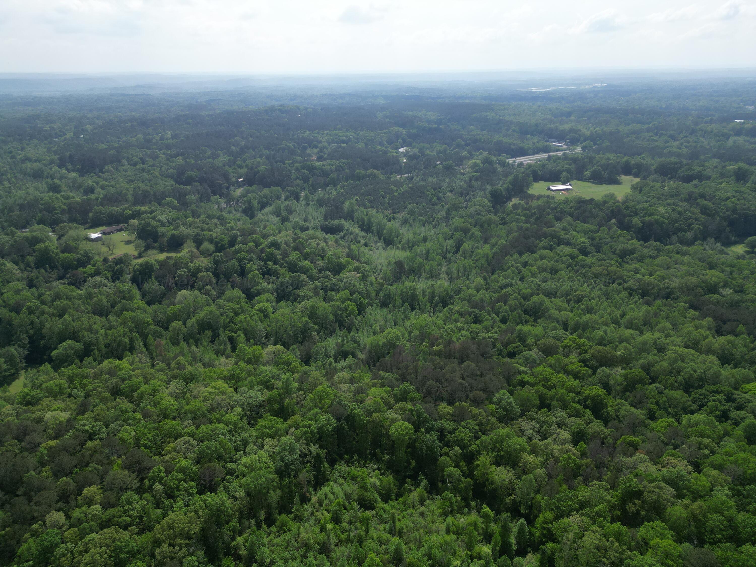 Tucker Road Jasper, AL 35504 - Photo 8 of 10 DJI_0305