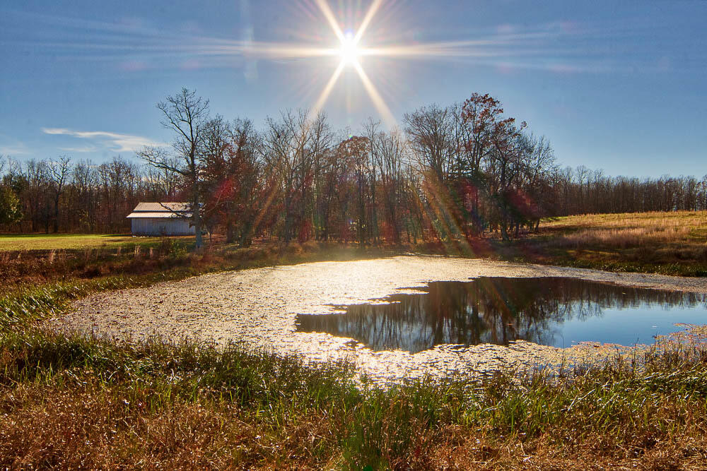 1065 Riggs Road Dayton, TN 37321 - Photo 45 of 46 pond 3