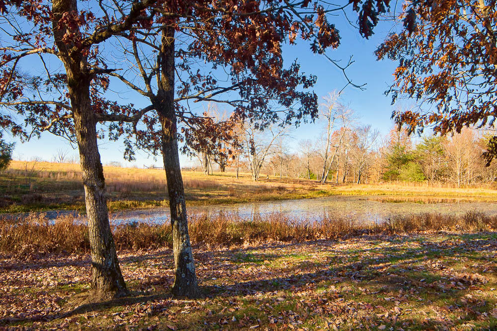1065 Riggs Road Dayton, TN 37321 - Photo 46 of 46 pond