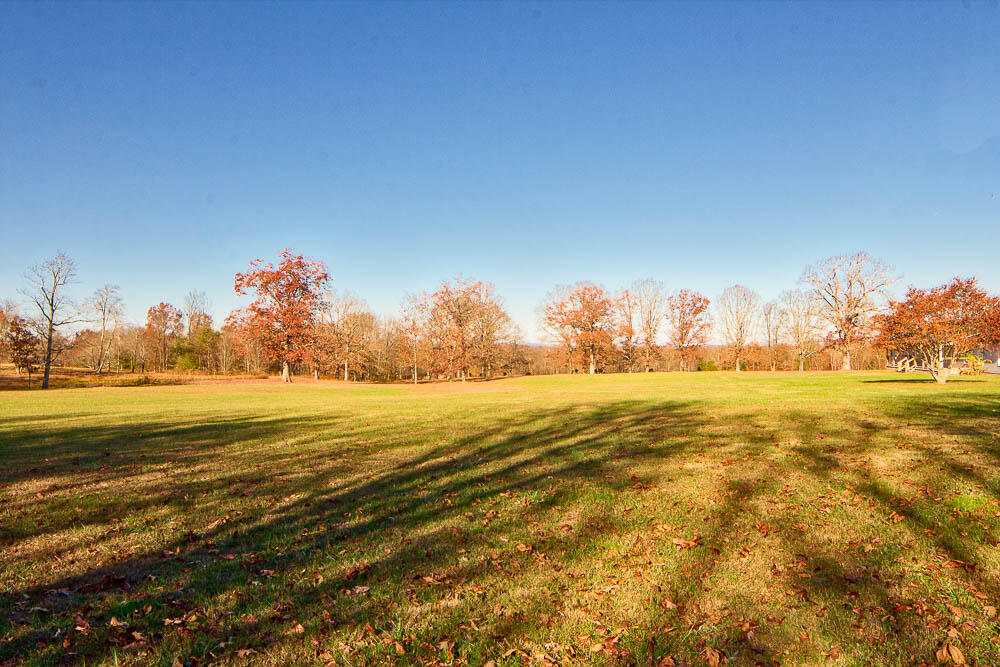 1065 Riggs Road Dayton, TN 37321 - Photo 9 of 46 front yard 2
