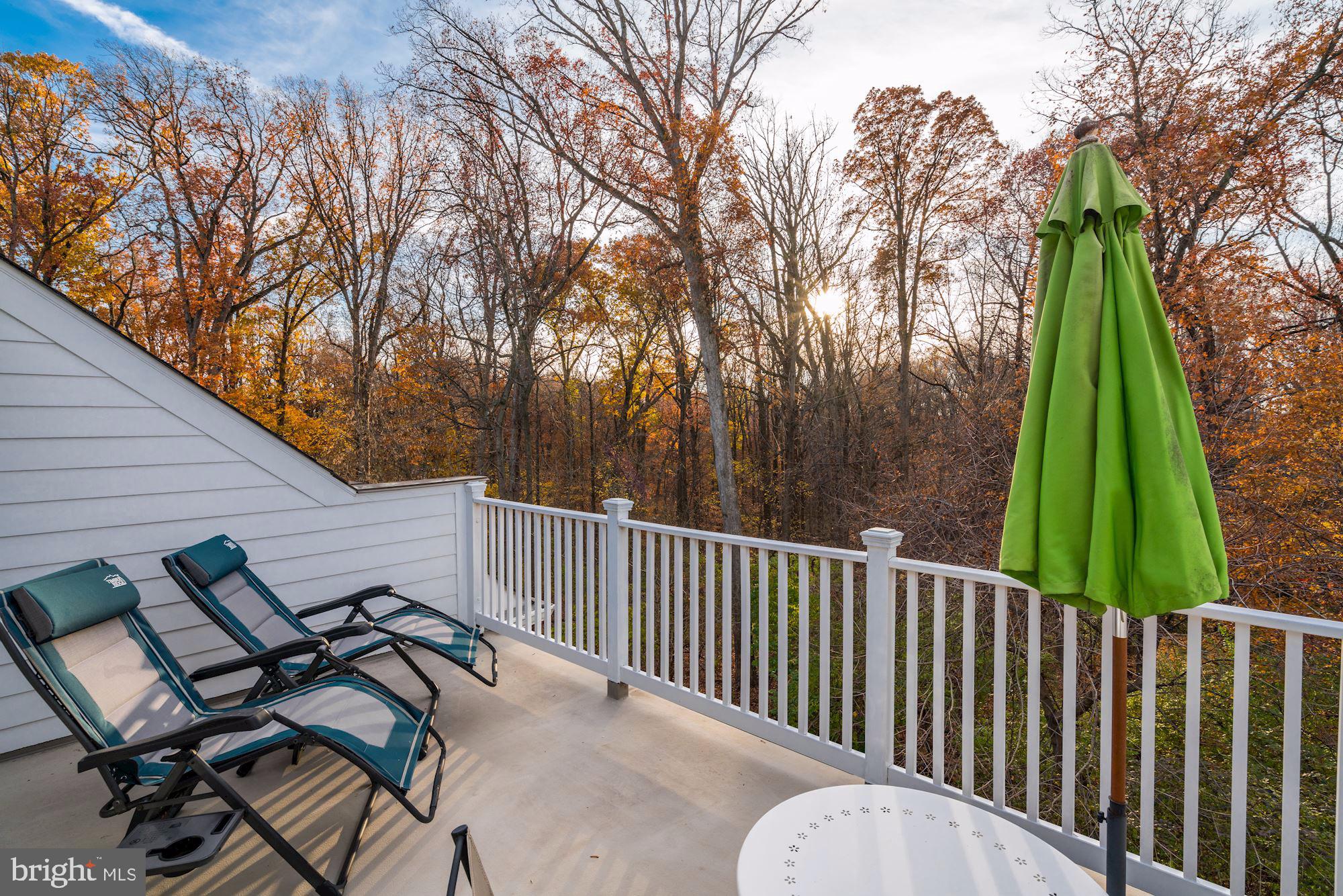 9568 Ament Street Silver Spring, MD 20910 - Photo 24 of 29 Top Level Sun Porch