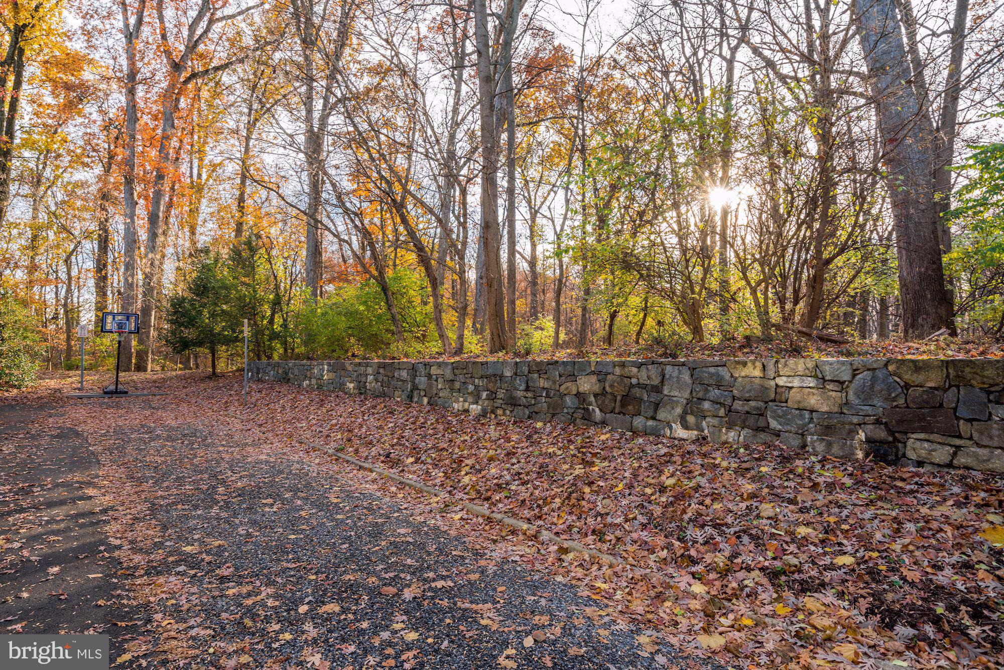 9568 Ament Street Silver Spring, MD 20910 - Photo 29 of 29 Trail to Rock Creek Park