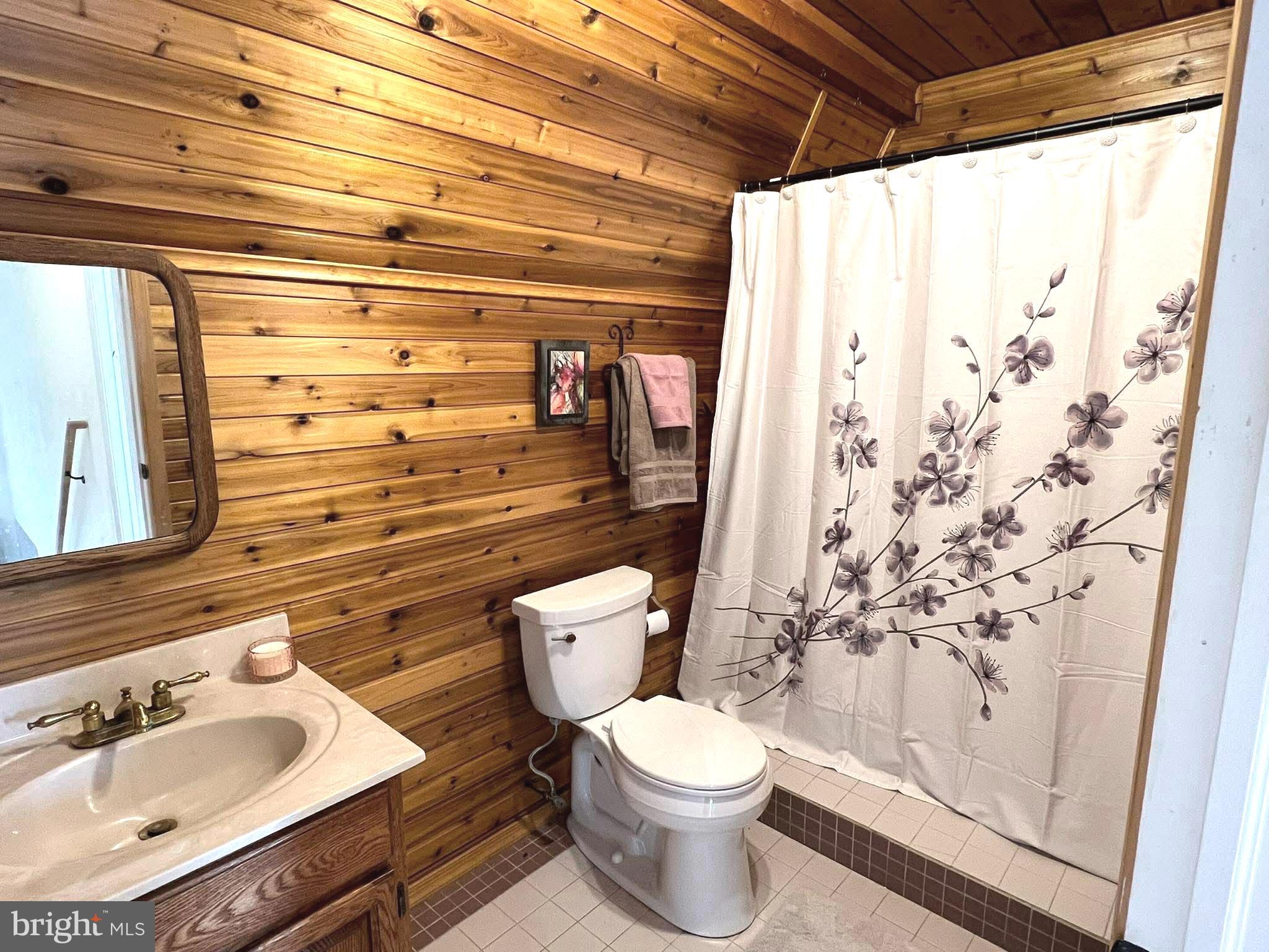 10680 Allens Fresh Road Charlotte Hall, MD 20622 - Photo 16 of 22 a bathroom with a sink a toilet and shower curtain