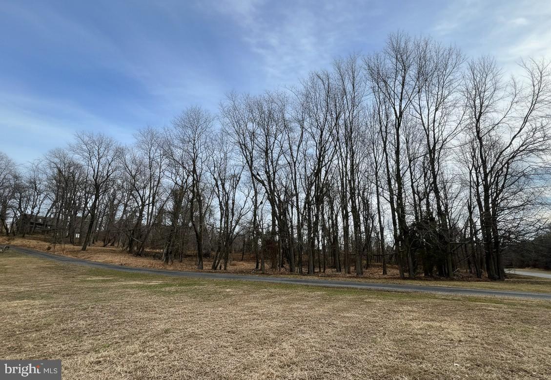 10680 Allens Fresh Road Charlotte Hall, MD 20622 - Photo 20 of 22 a view of outdoor space with trees