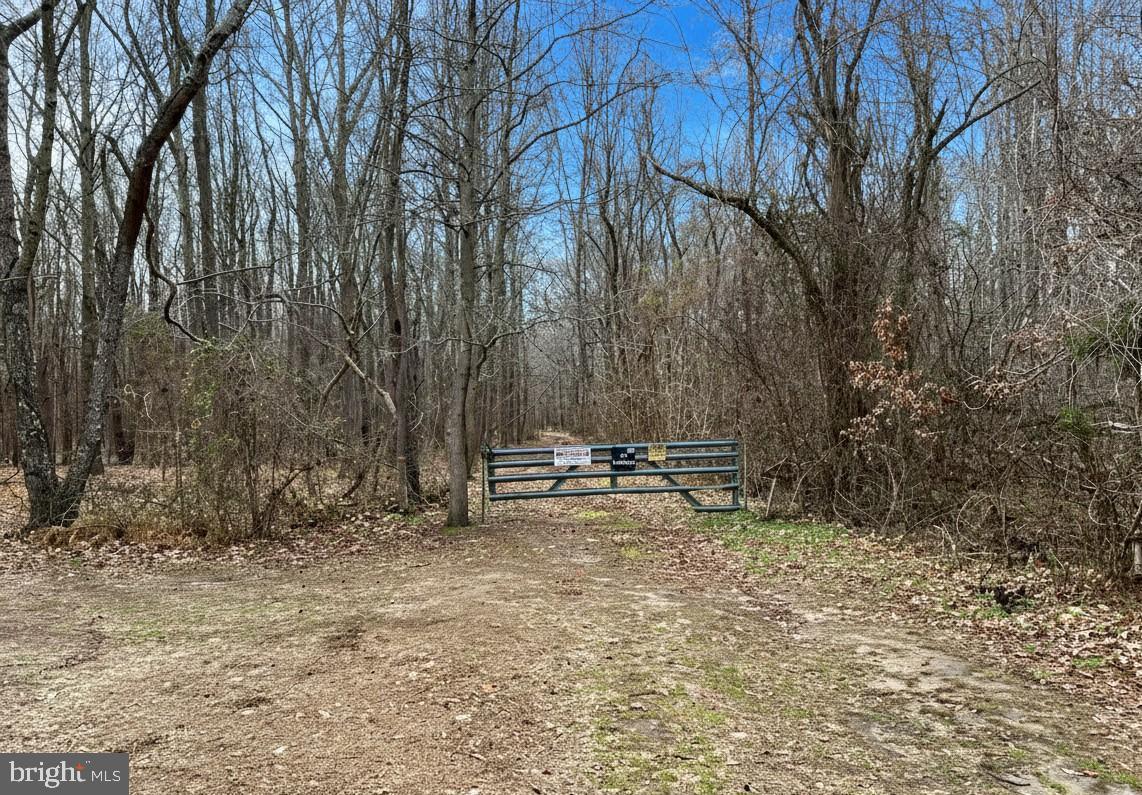 10680 Allens Fresh Road Charlotte Hall, MD 20622 - Photo 9 of 22 a view of a backyard with trees