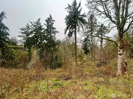 $210,000 | 0 Edgewater Drive Southwest, Lakewood, WA 98499