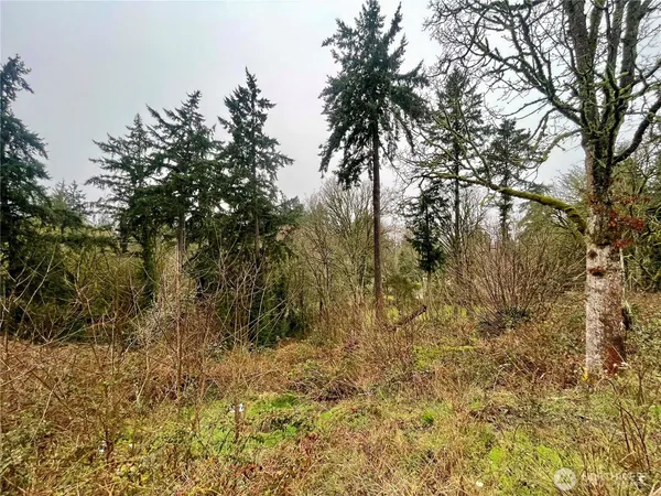 $210,000 | 0 Edgewater Drive Southwest, Lakewood, WA 98499