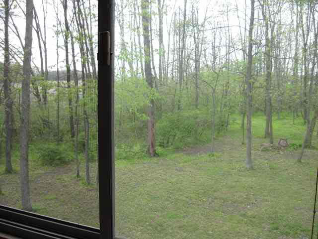 7661 East Clifton Road Albany, IN 47320 - Photo 19 of 30 Gallery Image 19