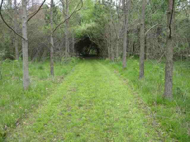 7661 East Clifton Road Albany, IN 47320 - Photo 22 of 30 Gallery Image 22